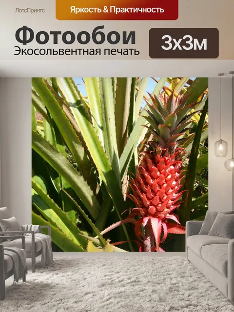 Фотообои Коста-Рика Красный Ананасы