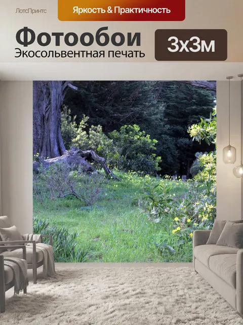 Фотообои Поле Зеленый