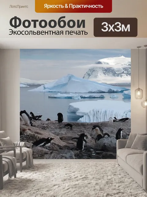 Фотообои Антарктида