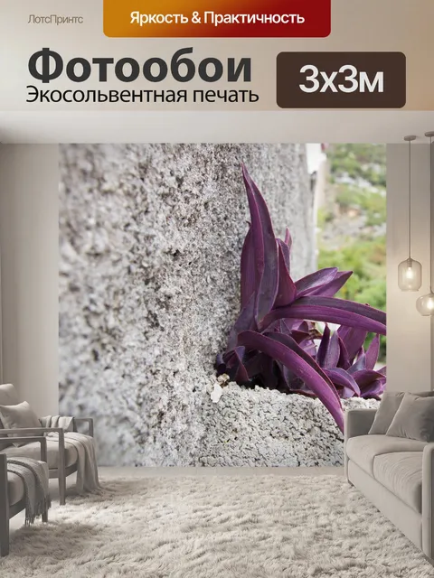 Фотообои Стена