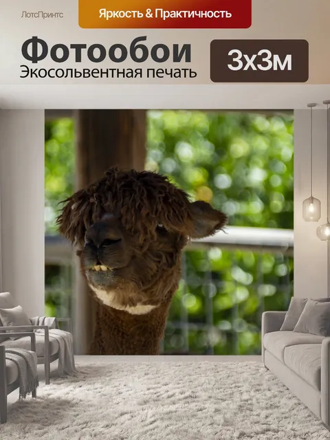 Фотообои альпака
