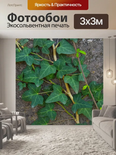 Фотообои Плющ