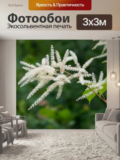 Фотообои Лесной лонжерон