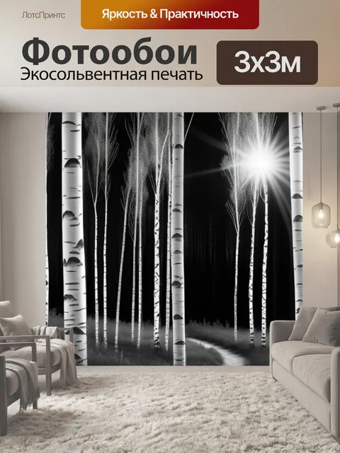Фотообои лес пейзаж с березой чернобелый