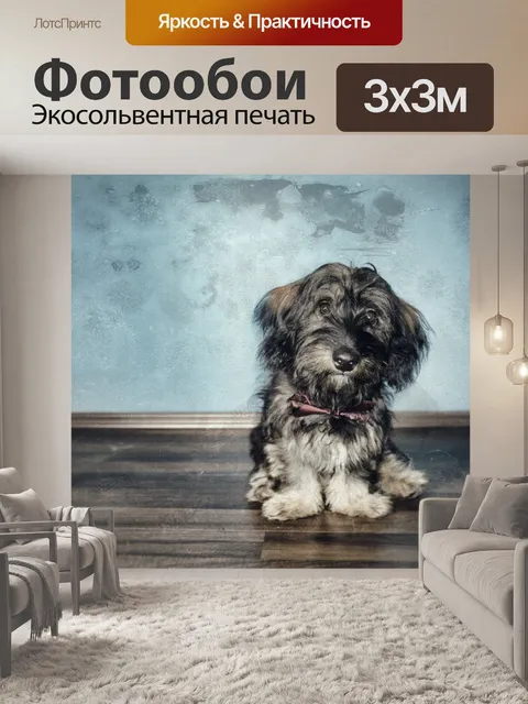 Фотообои Vintage собака