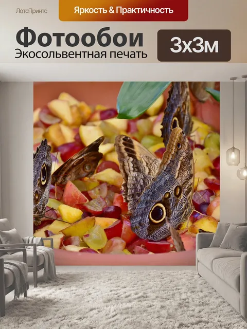Фотообои Бабочка