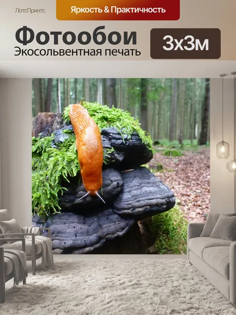 Фотообои Грибы