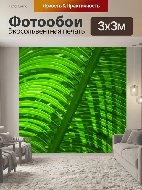 Фотообои Деталь листьев пальмы