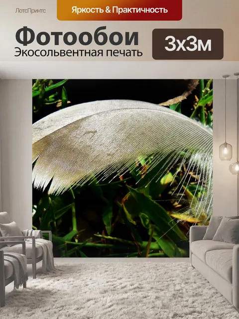 Фотообои Перо