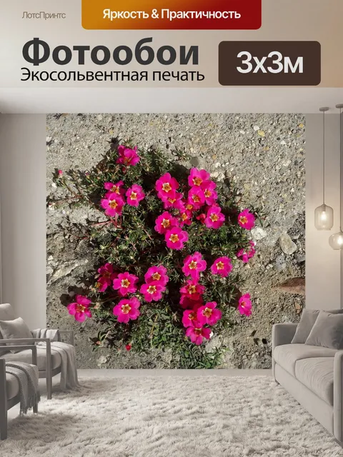 Фотообои Конкретный