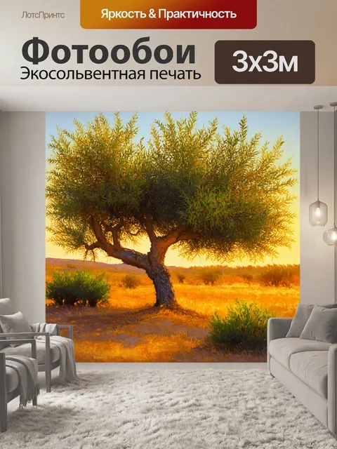 Фотообои теплый вечерний пейзаж с оливковыми деревьями