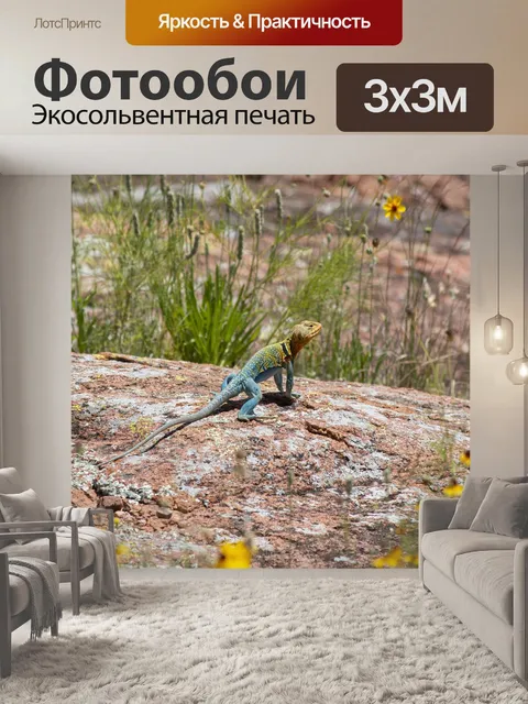 Фотообои Животное