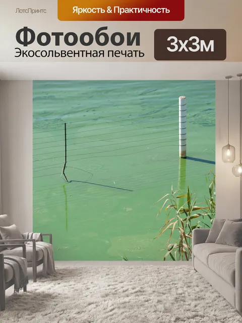 Фотообои камыши и забор с водорослями в плотине