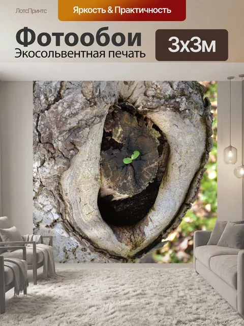 Фотообои Дерево