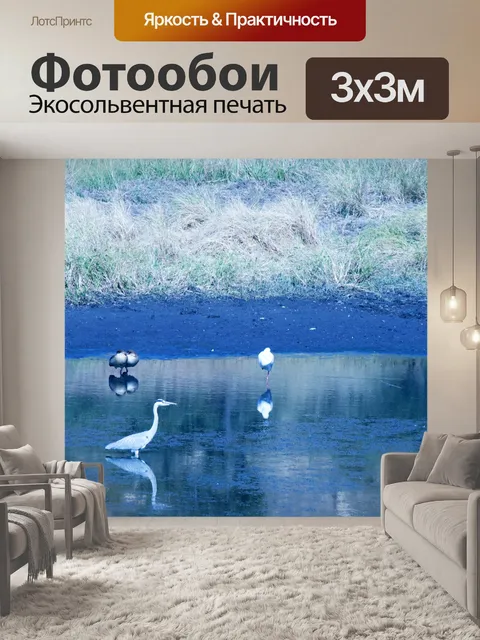 Фотообои африканская колпица и серая цапля