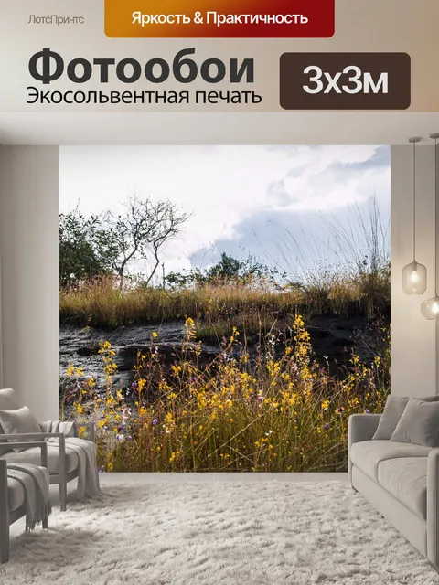 Фотообои Трава цветочное поле, полевые цветы