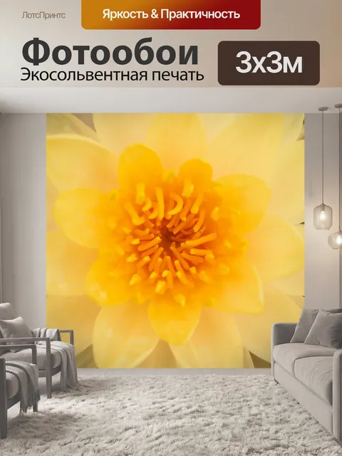 Фотообои Красивый цветок лотоса кувшинки