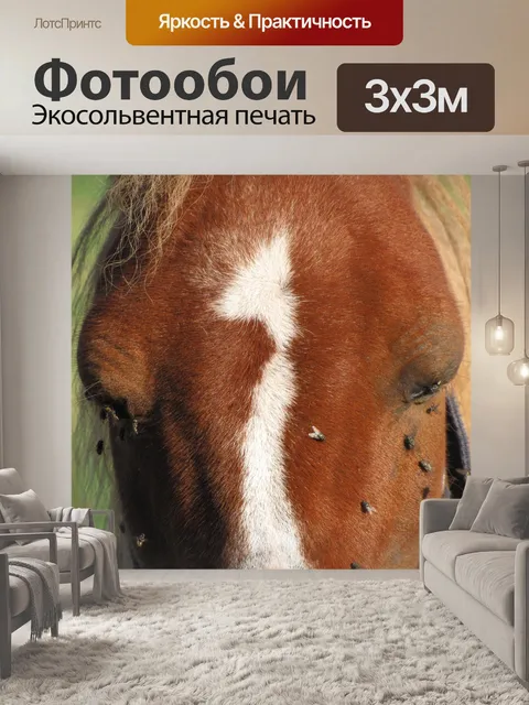 Фотообои Столкнувшись с лошадью