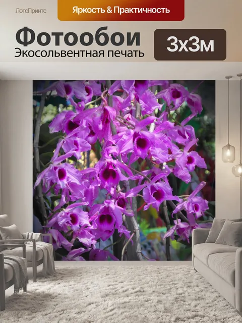 Фотообои Розовая орхидея Блум