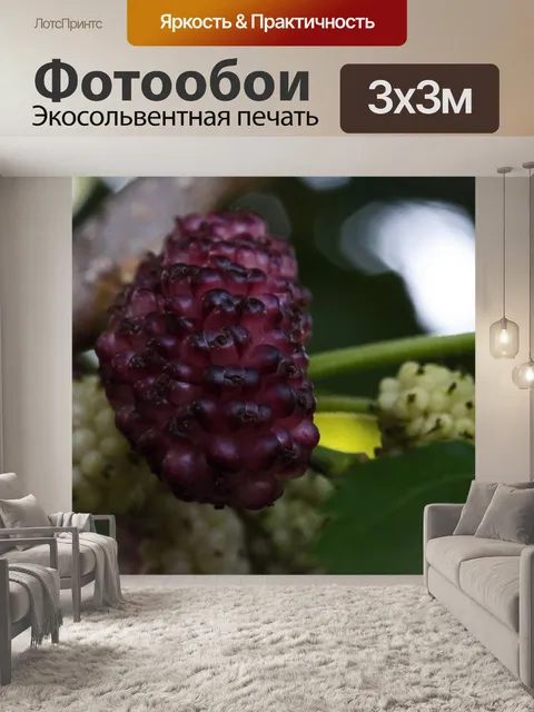 Фотообои Созревающая шелковица на дереве