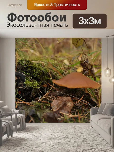 Фотообои гриб