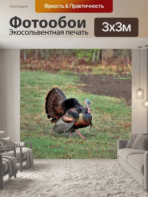 Фотообои Том Турция весной 2