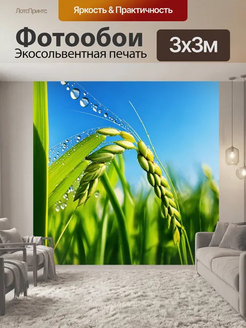 Фотообои колос, покрытый каплями утренней росы, ярко-зеленые листья окружают его, на фоне ясного голубого неба