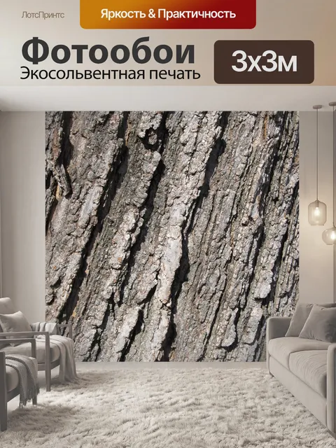 Фотообои Старый дуб Кора