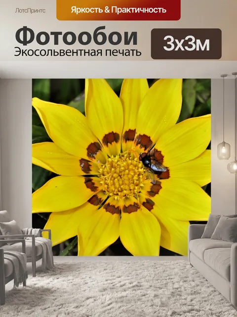 Фотообои Желтый цветок Газании и макрос мухи
