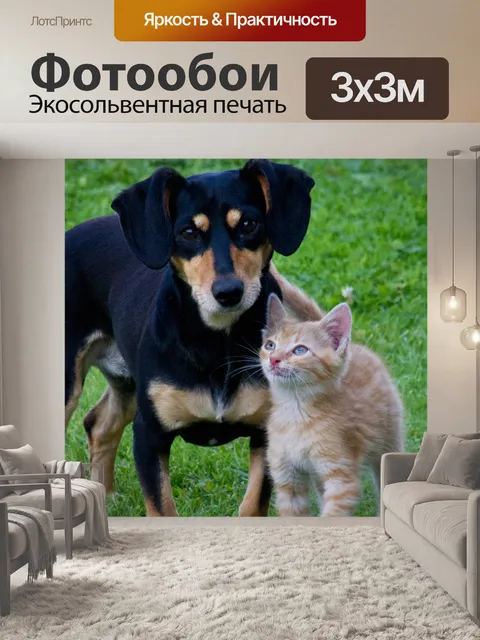Фотообои Кошка и собака
