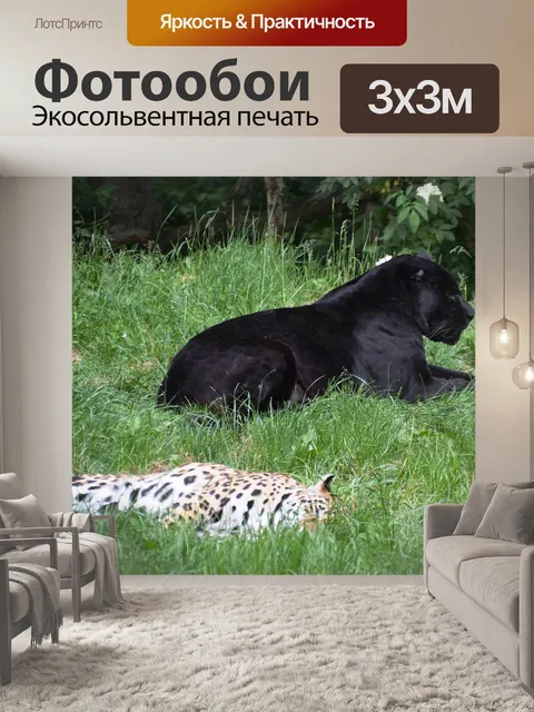 Фотообои Пантер