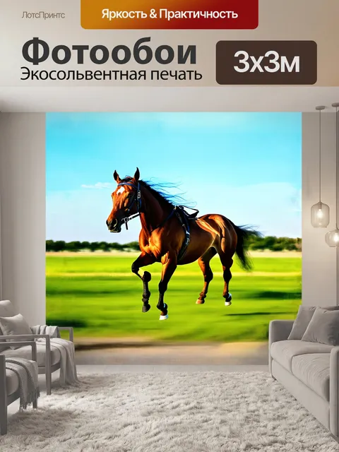 Фотообои в центре изображения — величественная скаковая лошадь