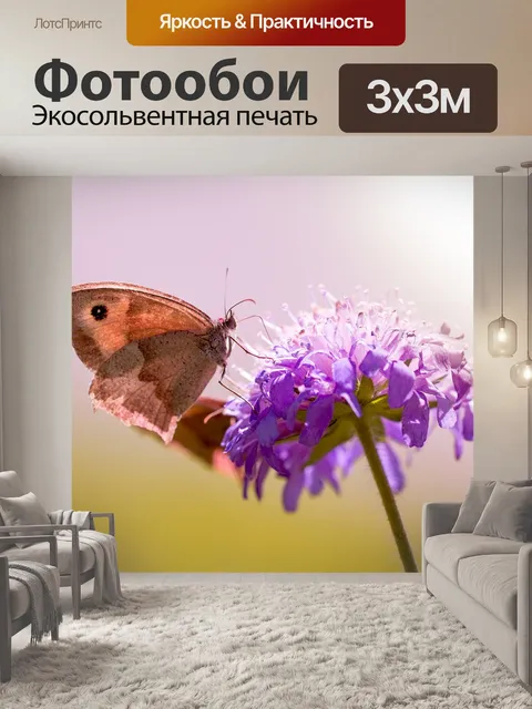 Фотообои Бабочка