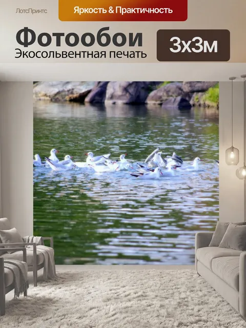 Фотообои Чайка