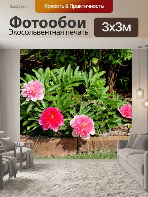 Фотообои Цветок