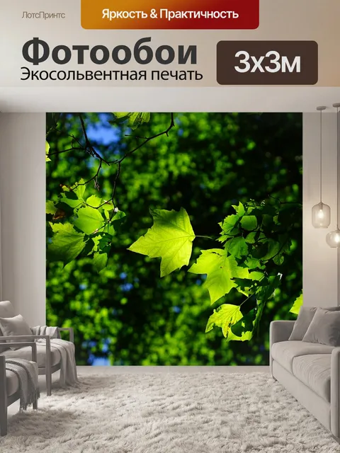 Фотообои Платан