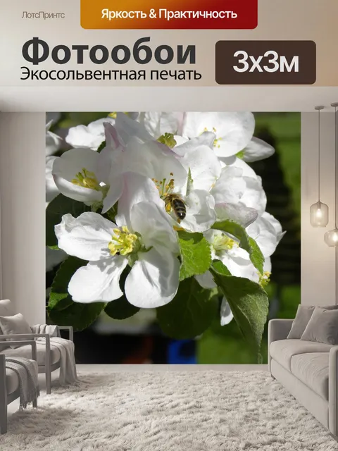Фотообои Яблоневый цвет