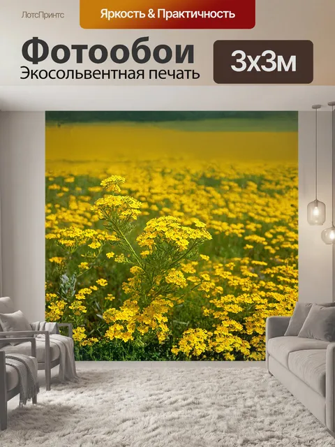 Фотообои кустарник зверобоя зацветает в весенний день