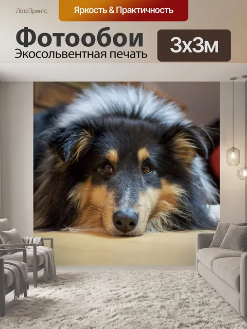 Фотообои Шелти