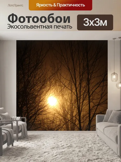 Фотообои Зимний свет