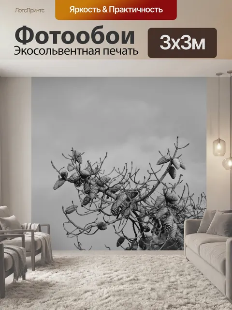 Фотообои Ветви сосны