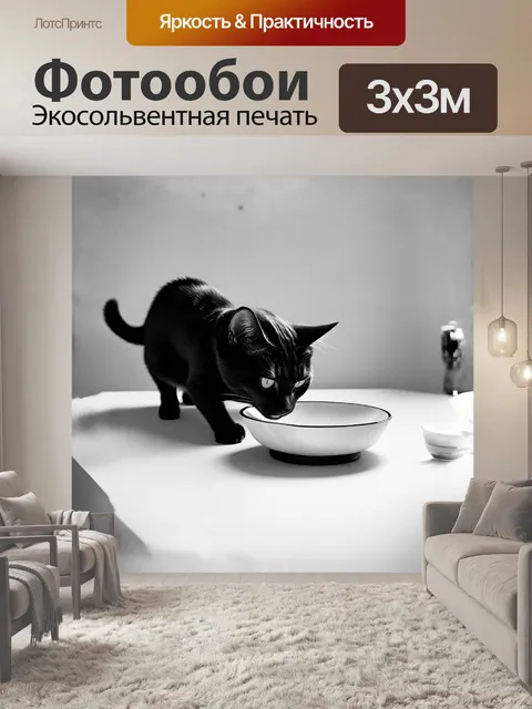 Фотообои минималистическое изображение черного кота