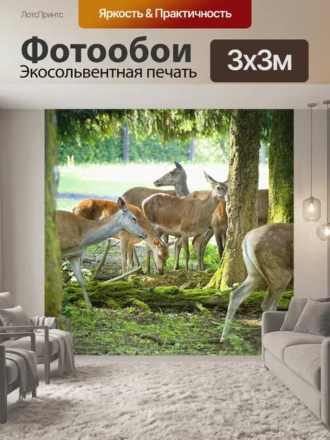 Фотообои Утреннее солнце
