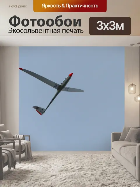 Фотообои Планер