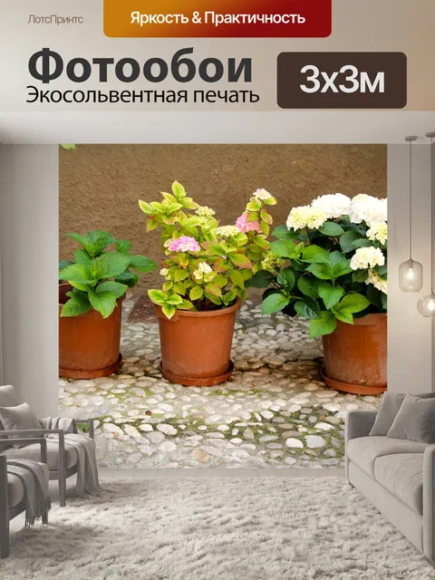 Фотообои Горшок для растений