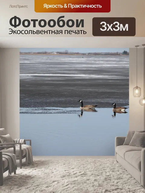 Фотообои Канадские гуси