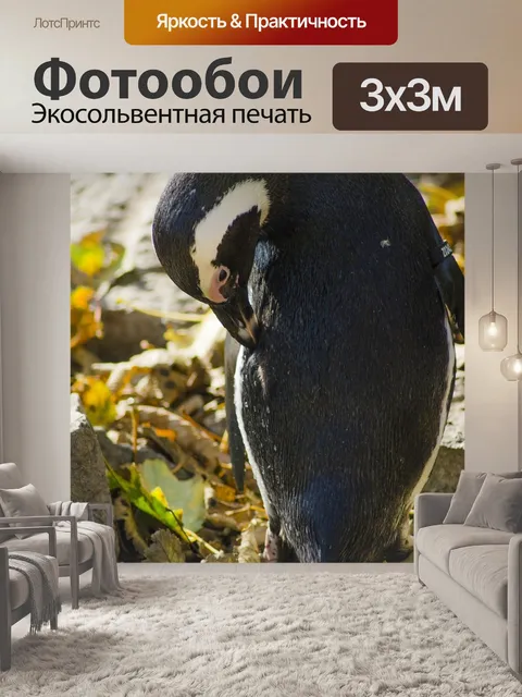 Фотообои Пингвин