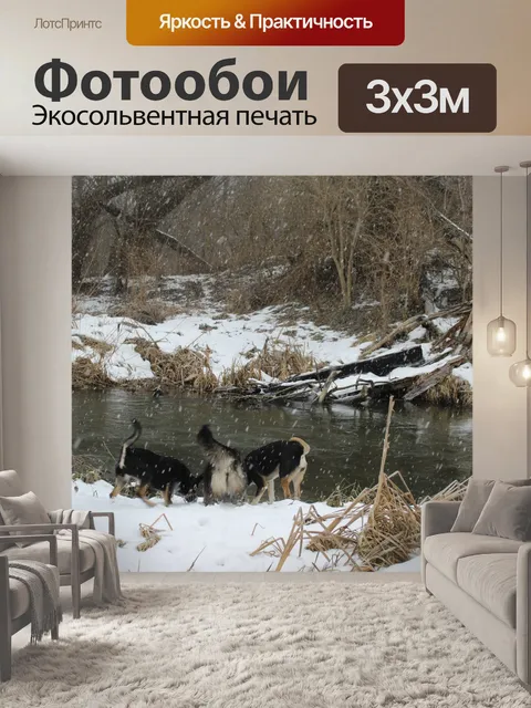 Фотообои Собака, зима