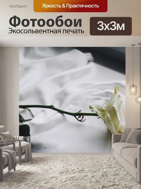 Фотообои Rose