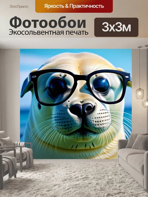 Фотообои смешные морские котики в очках